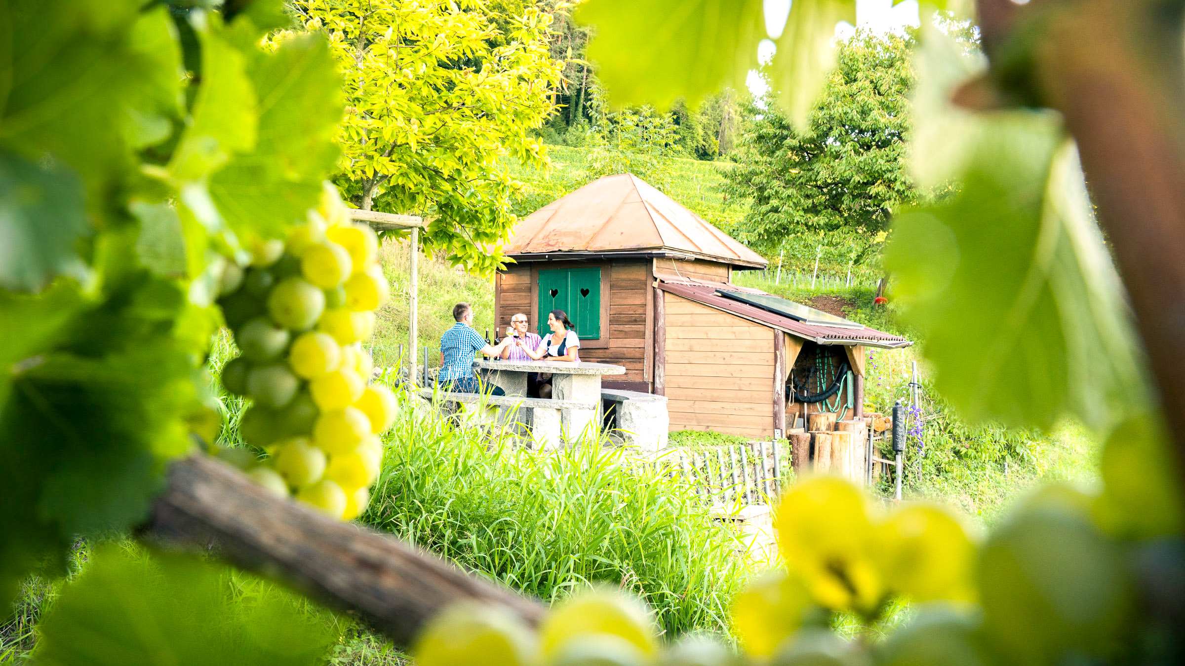 Weingemeinschaft, Wein kaufen, Wil ZH, Sauvignon Blanc, Riesling Silvaner, Chardonnday, Räuschling, Blanc de Noir, Pinot Noir, Pinot Noir Barrique, Winzer Weinsuppe, 8196, Le Charmant, Prosecco, Schaumwein, Kirsch, Schnaps, Brand, zürcher weine, Traubenbrand, Maulbeerbaum, Fass