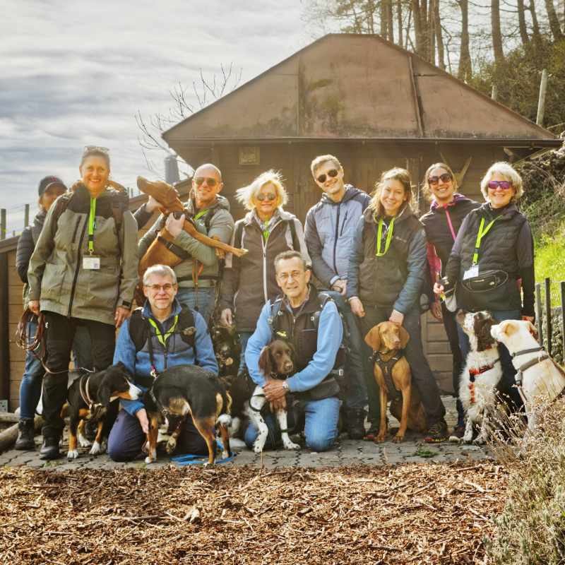 Social Walk Spezial